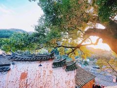 -杨家堂村