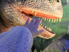 -栾川竹海野生动物园