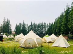 -前小桔亲子创意农场·草莓采摘·露营烧烤