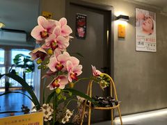 -施奈儿.洗头頭療.按摩SPA.采耳(上梅林店)