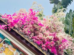 -深圳国际园林花卉博览园