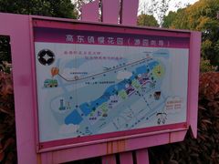 -高东镇樱花园