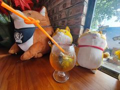 -柴犬高等学院·狗咖·柴犬售卖·宠物训练