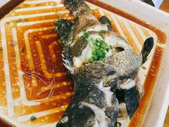 石斑鱼-盒马鲜生(杨高南路店)