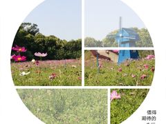 森林花海-广州市流溪河国家森林公园