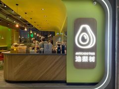 -油梨树AVOCADO TREE(望京店)