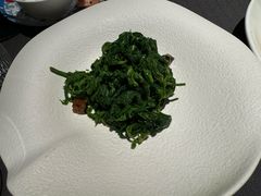 凉拌桑叶尖-肆月河豚·新淮扬菜·烤鸭(中关村店)