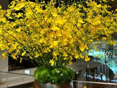 -北京望京凯悦酒店The Lounge大堂酒廊