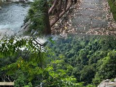 -海南热带雨林国家公园吊罗山景区