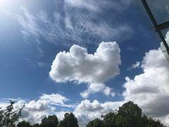 -上海交通大学医学院附属仁济医院(南院)