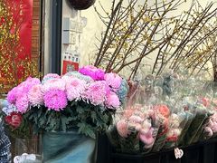 -溪岸路花鸟市场