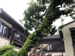 -杭州西湖柳莺里酒店