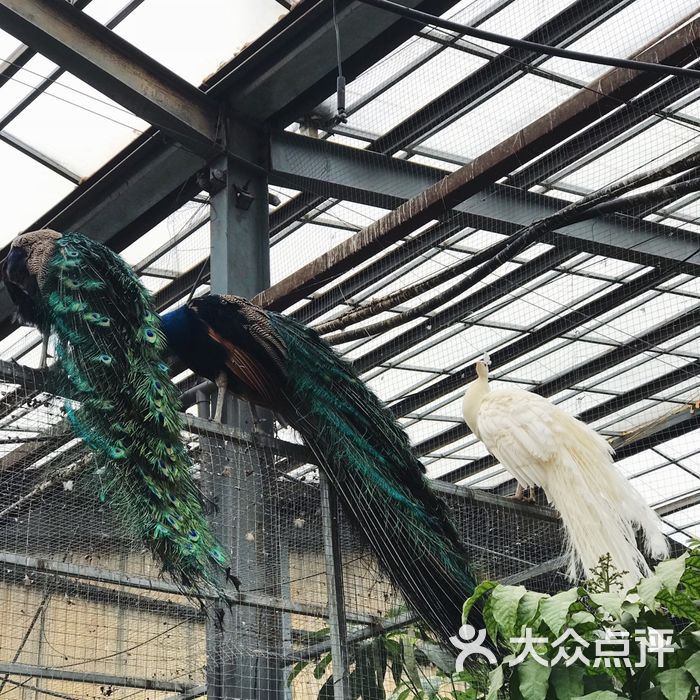 呀路古热带植物园