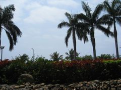 IMG_2522-三亚亚龙湾金棕榈度假酒店