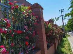 -国家植物园南园