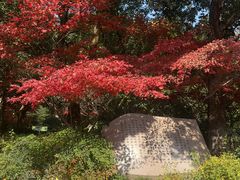 -杭州半山国家森林公园