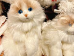 -番茄口袋(上海普陀区环球港店)