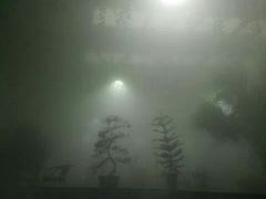 -灵山莲花公园-温泉度假区