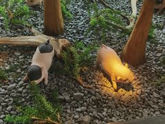 -义气烤肉餐吧(大族广场店)