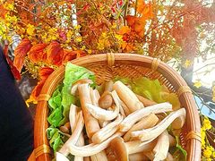-滇野云南野生菌餐厅(陕西南路店)