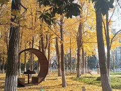 -凤城河风景区