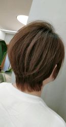 -Z.X HAIR SALON张新美业