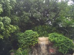 -九龙公园