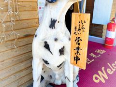 -鳗鱼家·深夜食堂(军博店)