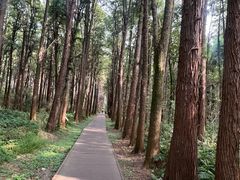 -同里国家湿地公园