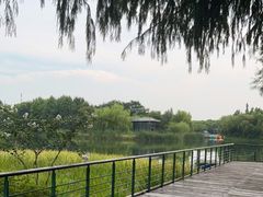-尚贤河湿地