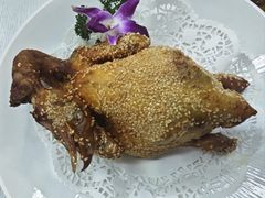 -顺轩海鲜火锅酒家