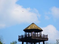 -赤水丹霞旅游区·佛光岩