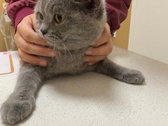 -瑞派康怡24h宠物医院·犬猫医疗中心·微创绝育(瑞景分院)
