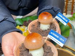 -大理董·董家小厨野生菌火锅(古城旗舰店)