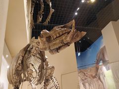 -国家自然博物馆