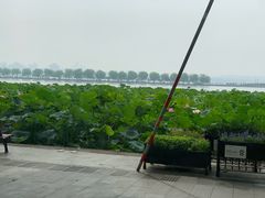 -1973继光香香鸡(金桥国际店)