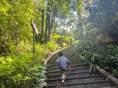 -神光山国家森林公园