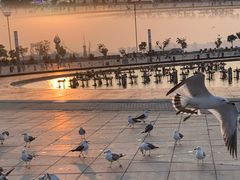 -东港音乐喷泉广场