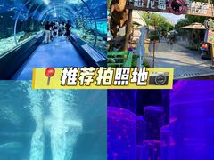 -海合安武汉极地海洋公园