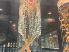 -广东中医药博物馆