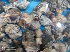 -鑫渔港海鲜本地菜·山海关浑锅(东戴河店)
