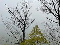 -团城山公园