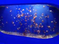 -泸州欢乐派海滩公园