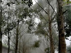 -三圣花乡旅游区