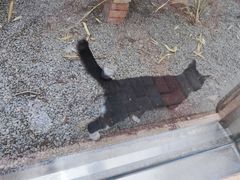 -青藏高原野生动物园