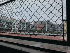 -北京第二实验小学