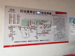 -红山体育乐园