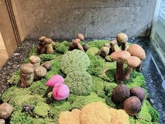 -许家菜(望江店)