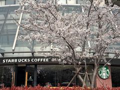-星巴克臻选(苏州汇豪店)