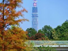 -白鹭湾湿地公园